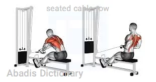seated cable row